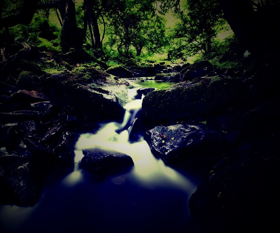 Речной поток в лесу обои