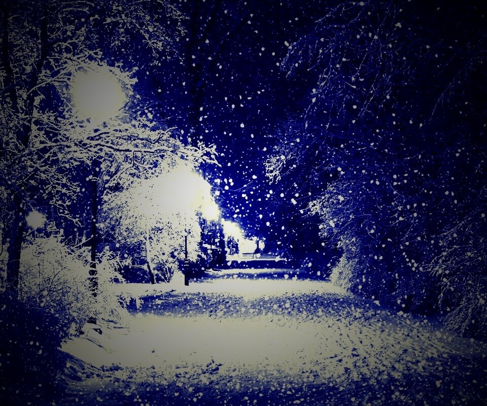 Зимняя аллея обои