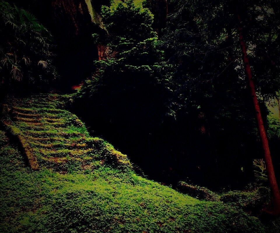 Старинный лесной храм обои