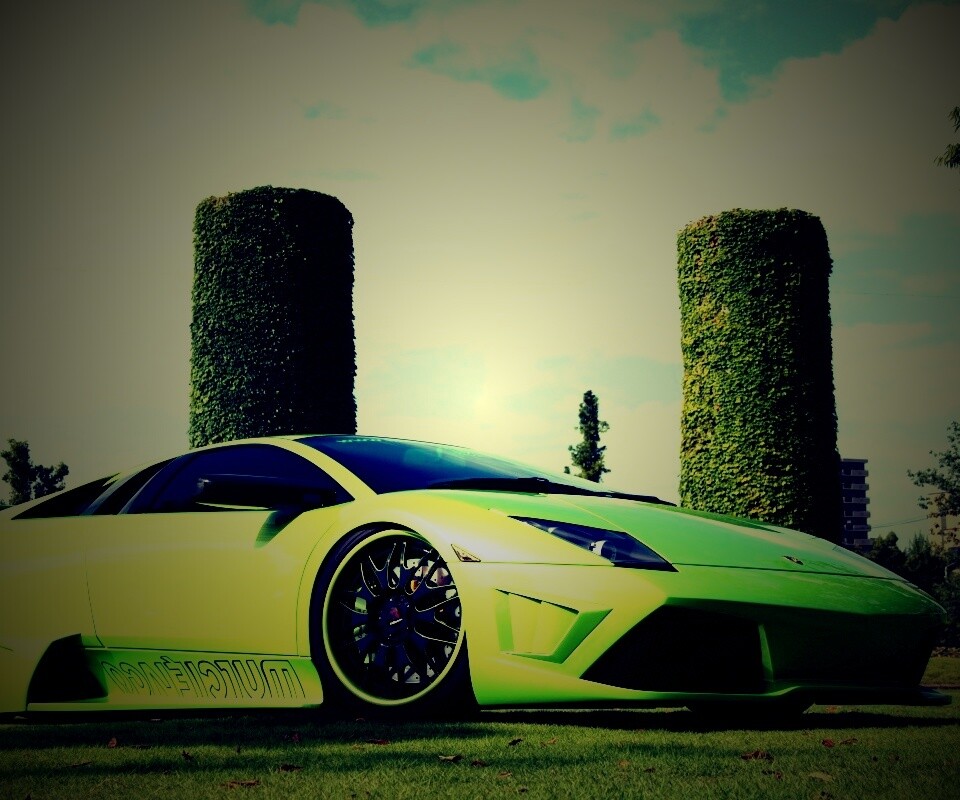 Зелёный Ламборджини на траве обои