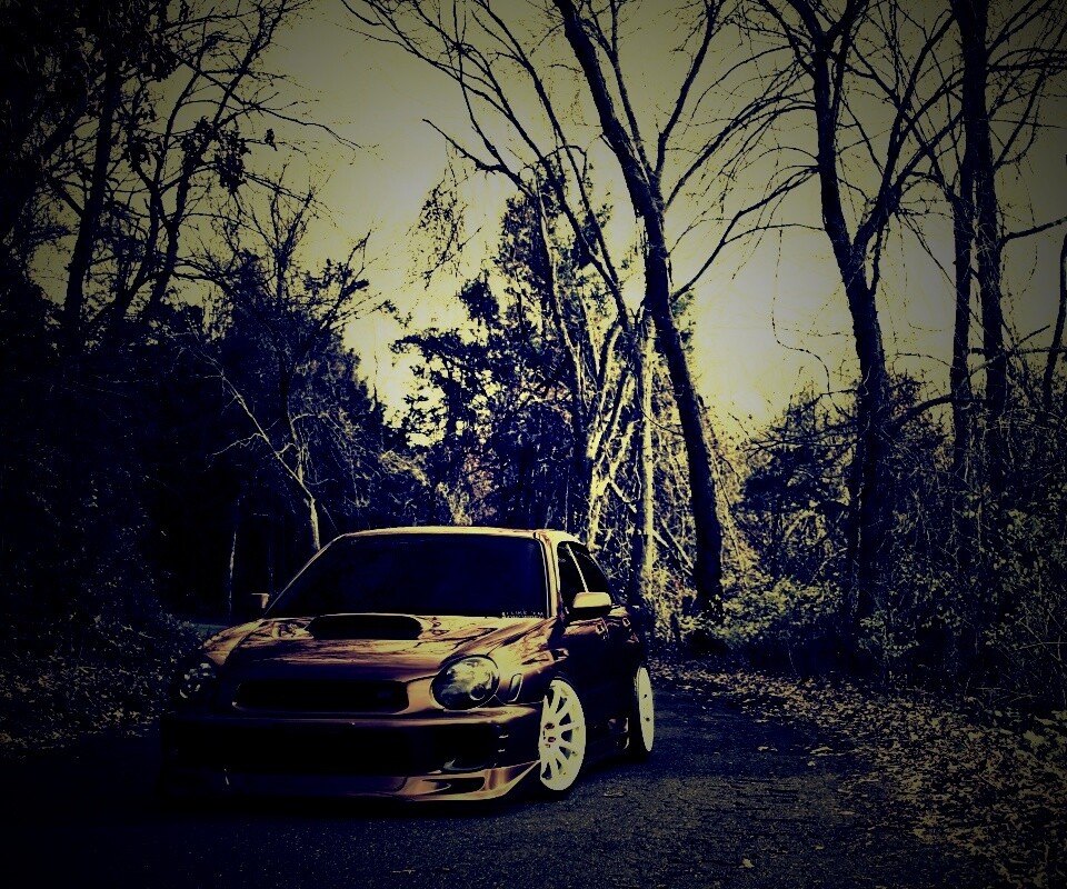 Субару Импреза на лесной дороге обои