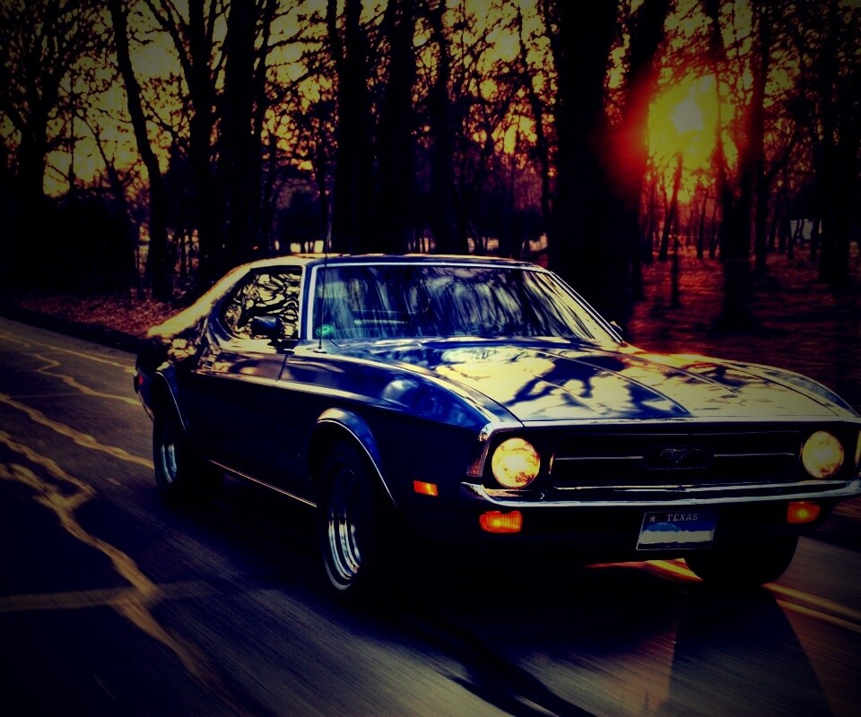 Мустанг обои