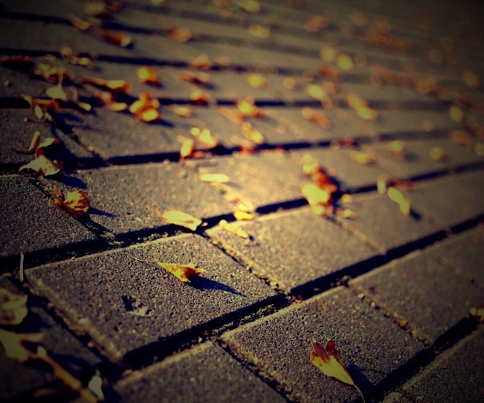 Тротуар обои