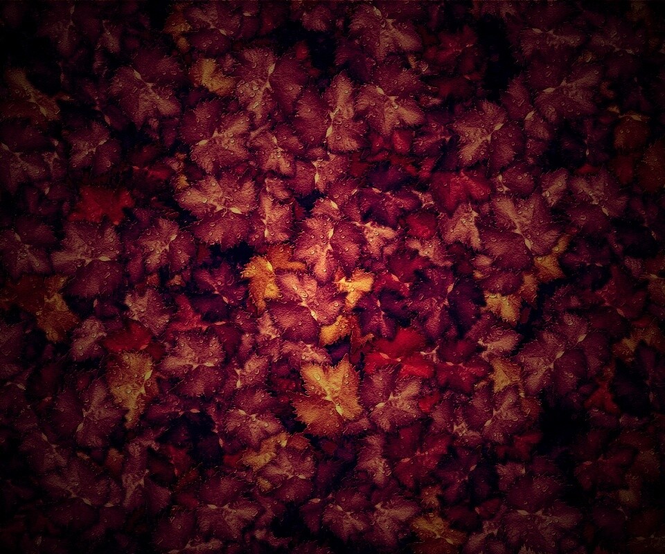 Осенние листья обои