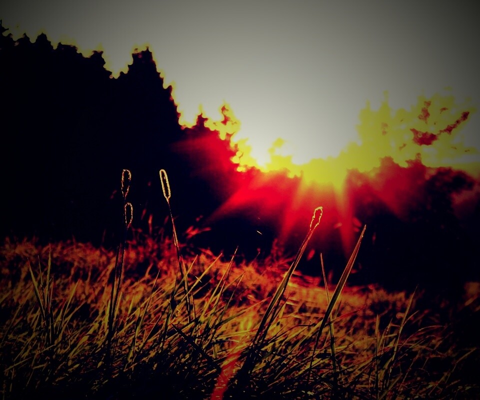 Красота природы обои