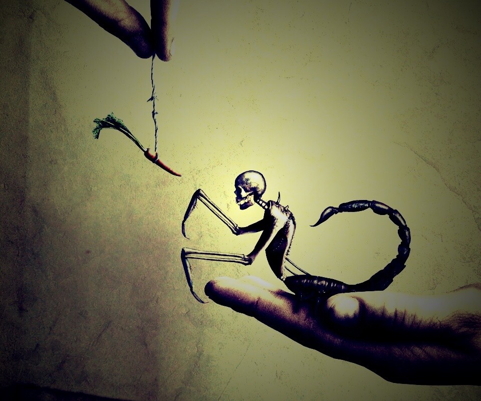 Кормёжка смерти обои