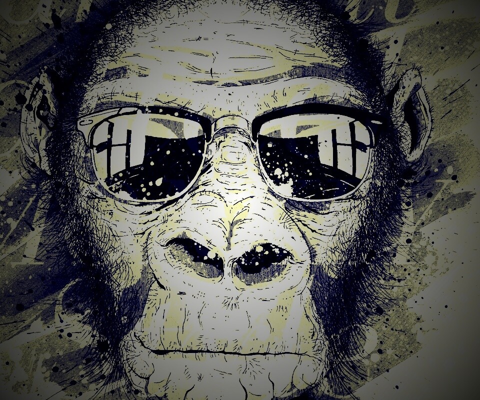 Макака в очках обои