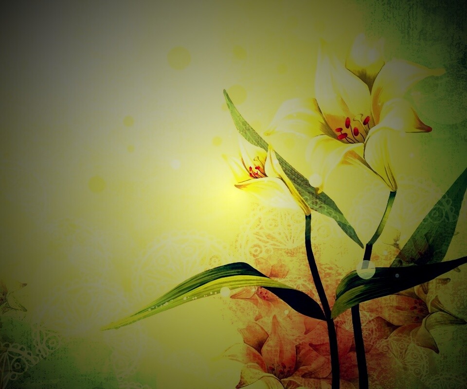 Красивое изображение лилии обои