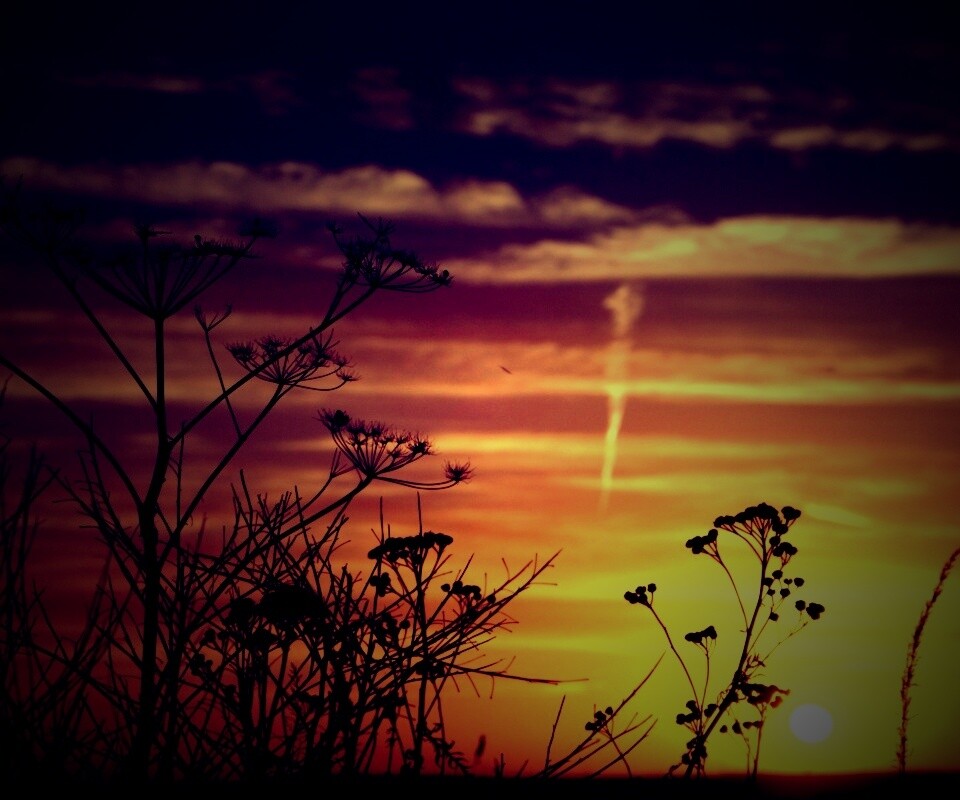 Степной закат обои