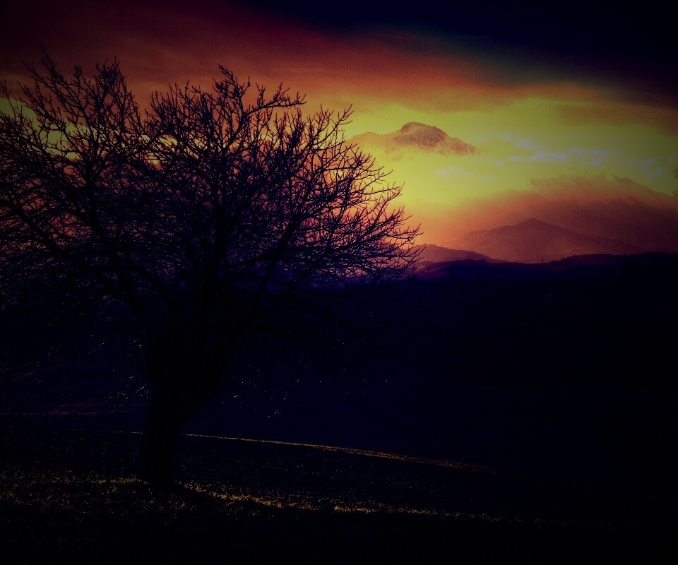 Дерево и горы обои