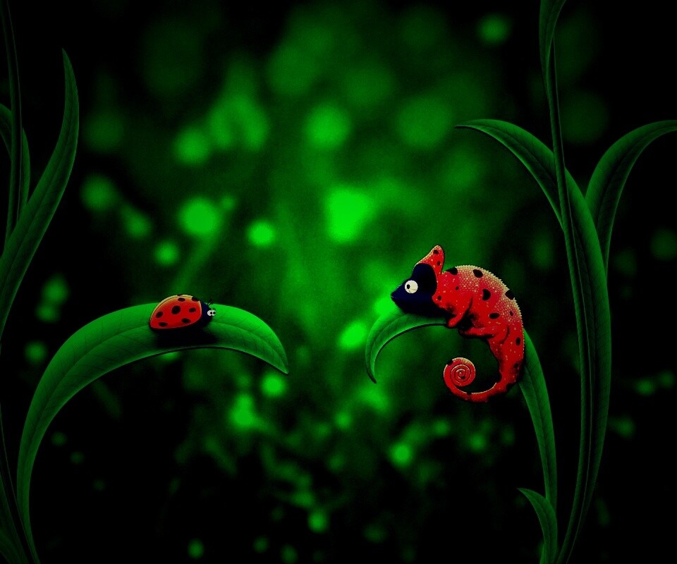 Хамелеон  замаскированный под божью коровку обои