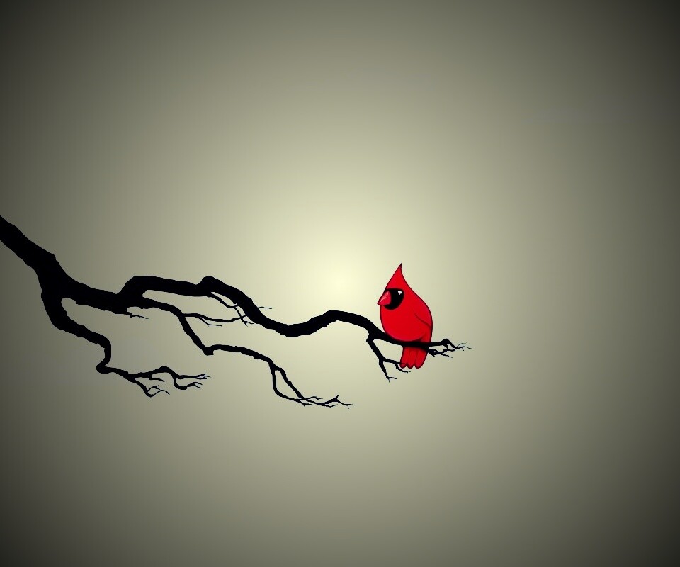 Красная птица на ветке обои