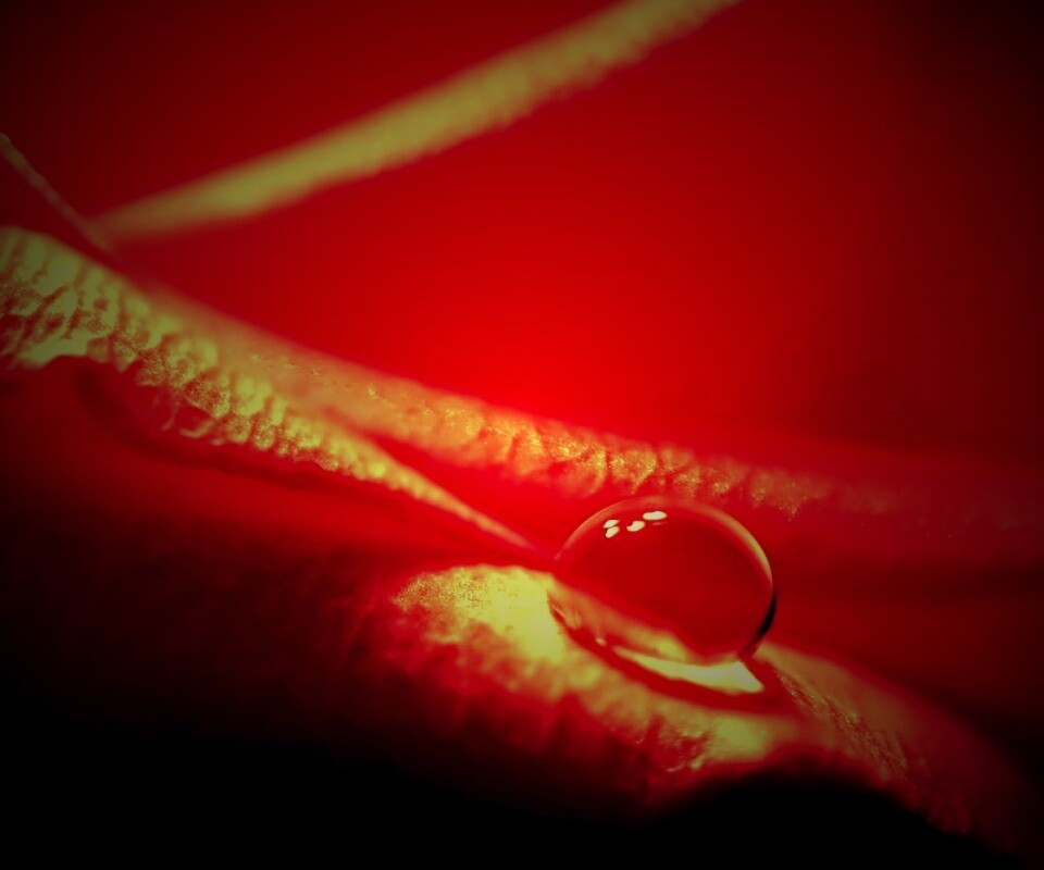 Капелька обои