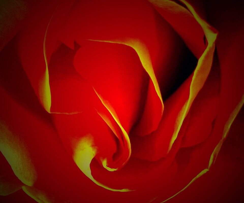 Макро фотка бутона обои