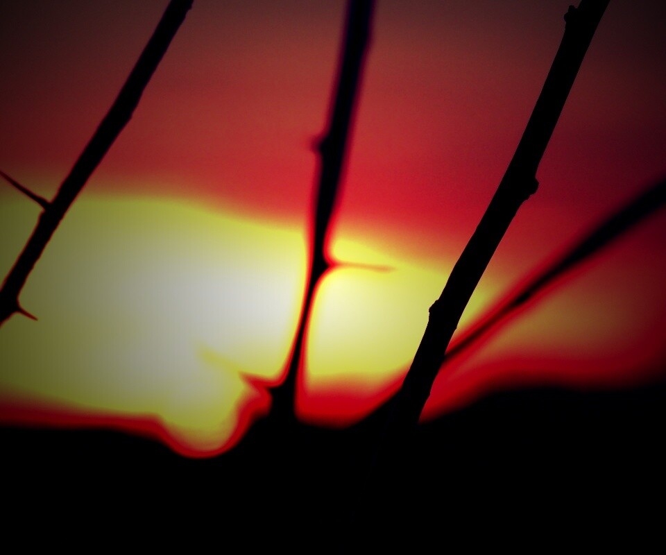 Закат солнца в поле обои