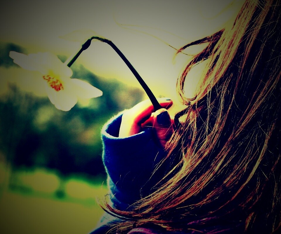 Девушка с нарциссом в руке обои