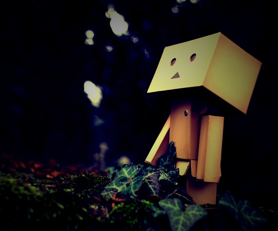 Danbo смотрит вверх обои