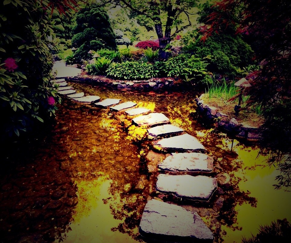 Дорожка через пруд обои