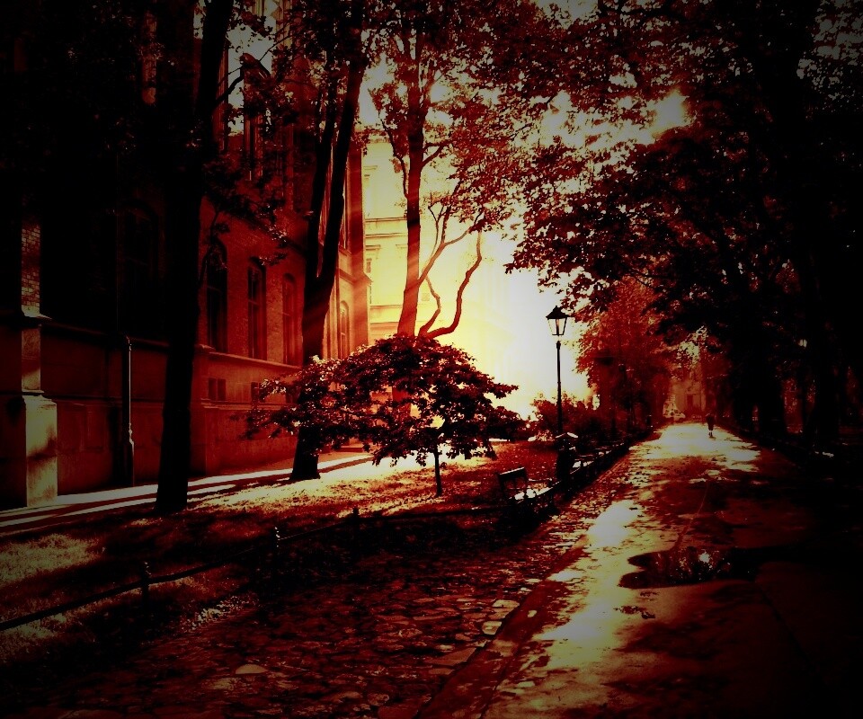 Аллея у здания обои