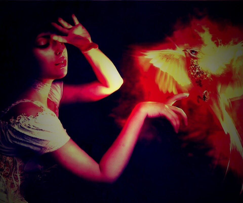 Феникс обои