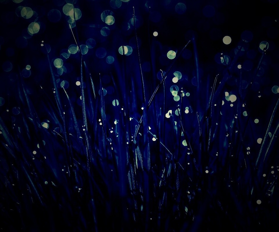 Трава ночью обои