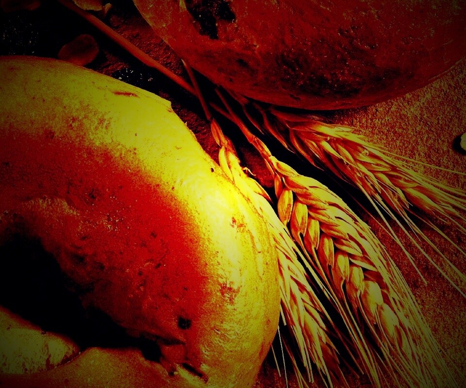 Свежие булочки обои