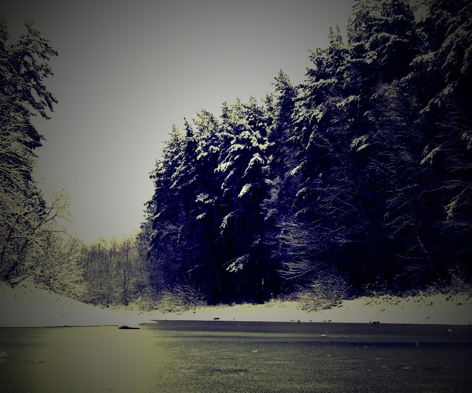 Зимняя дорога обои