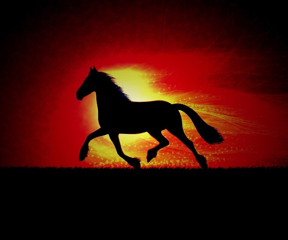 Силует коня на закате обои