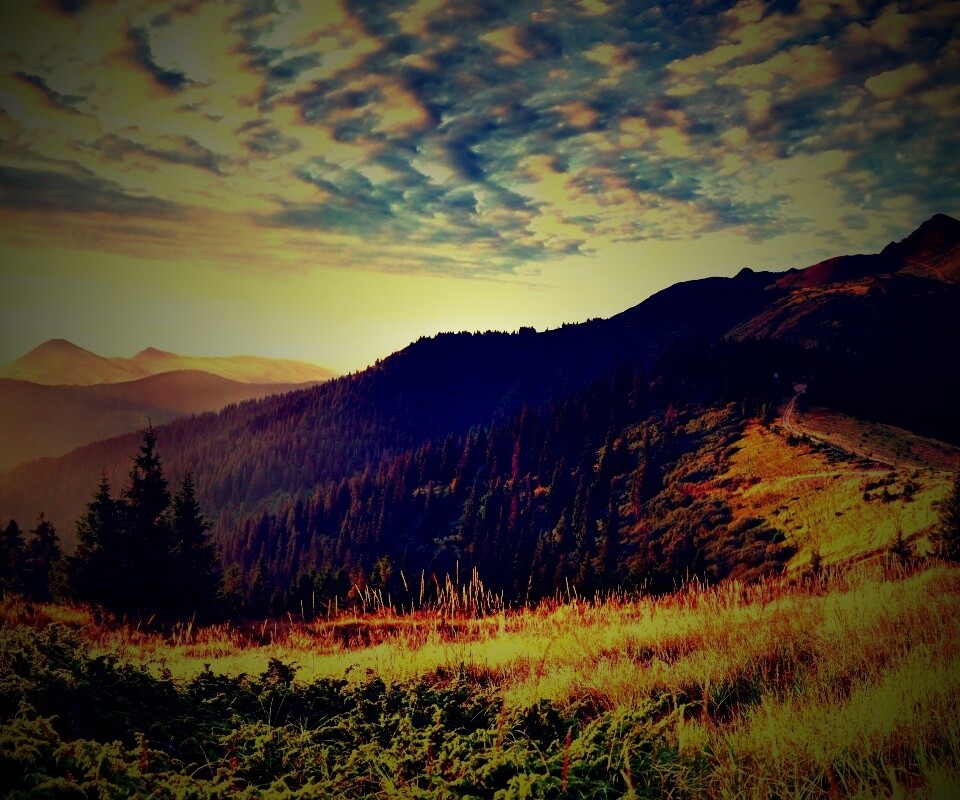 Предгорье обои
