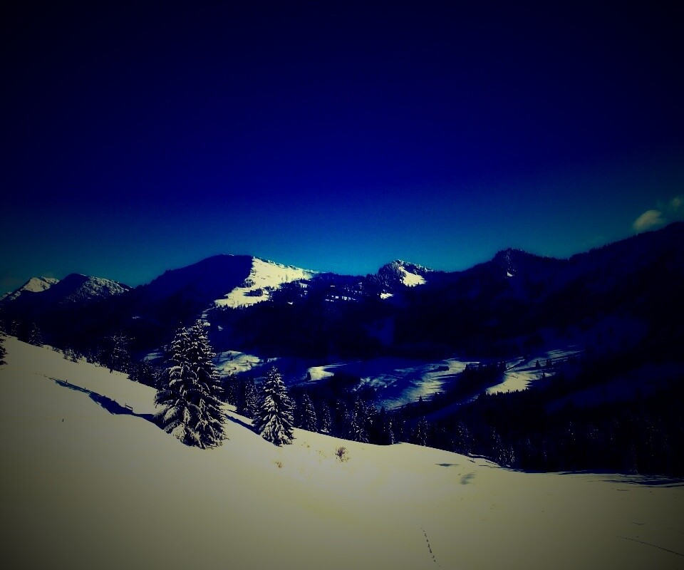 Лес в горах обои