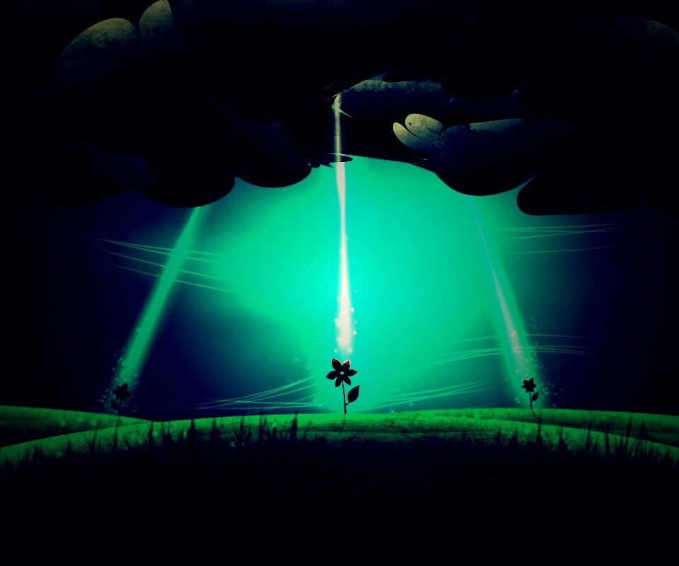 Свет для цветов обои