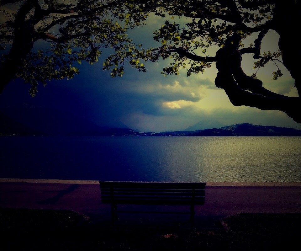 Скамейка на берегу обои