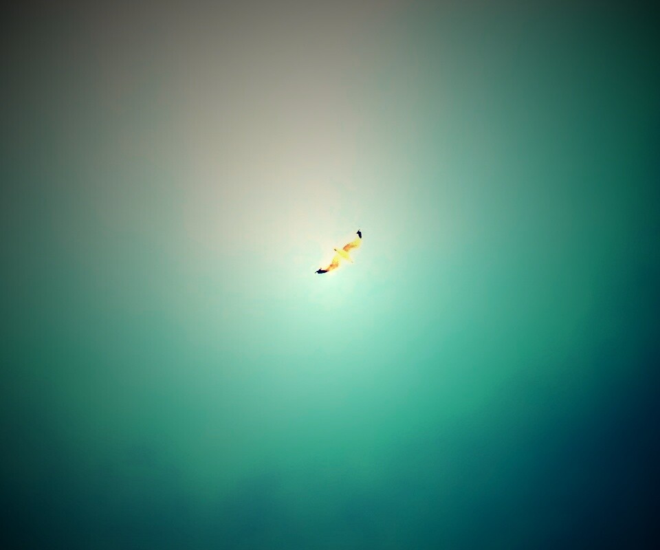 Полет  обои