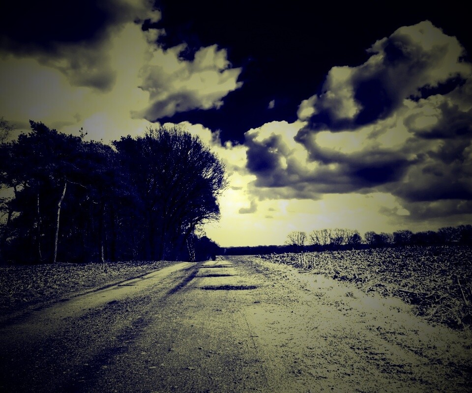 Дорога через поле обои