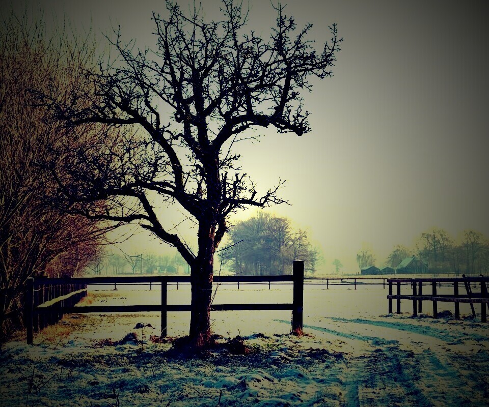 Зимний пейзаж обои