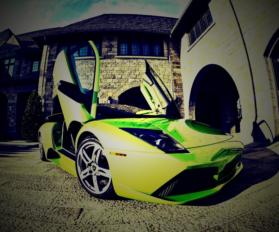 Зеленая ламба обои