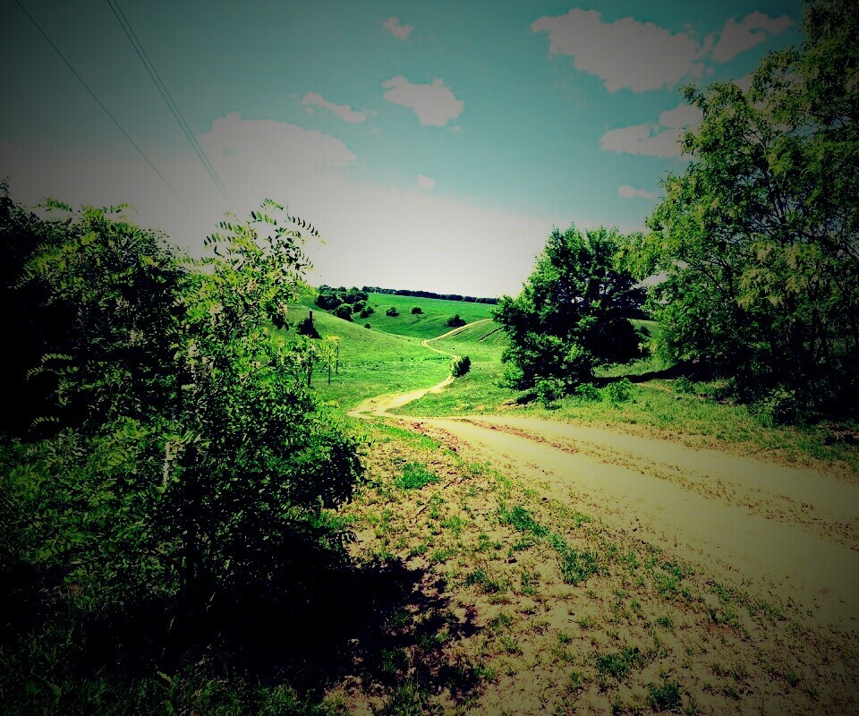 Просёлочная дорога обои