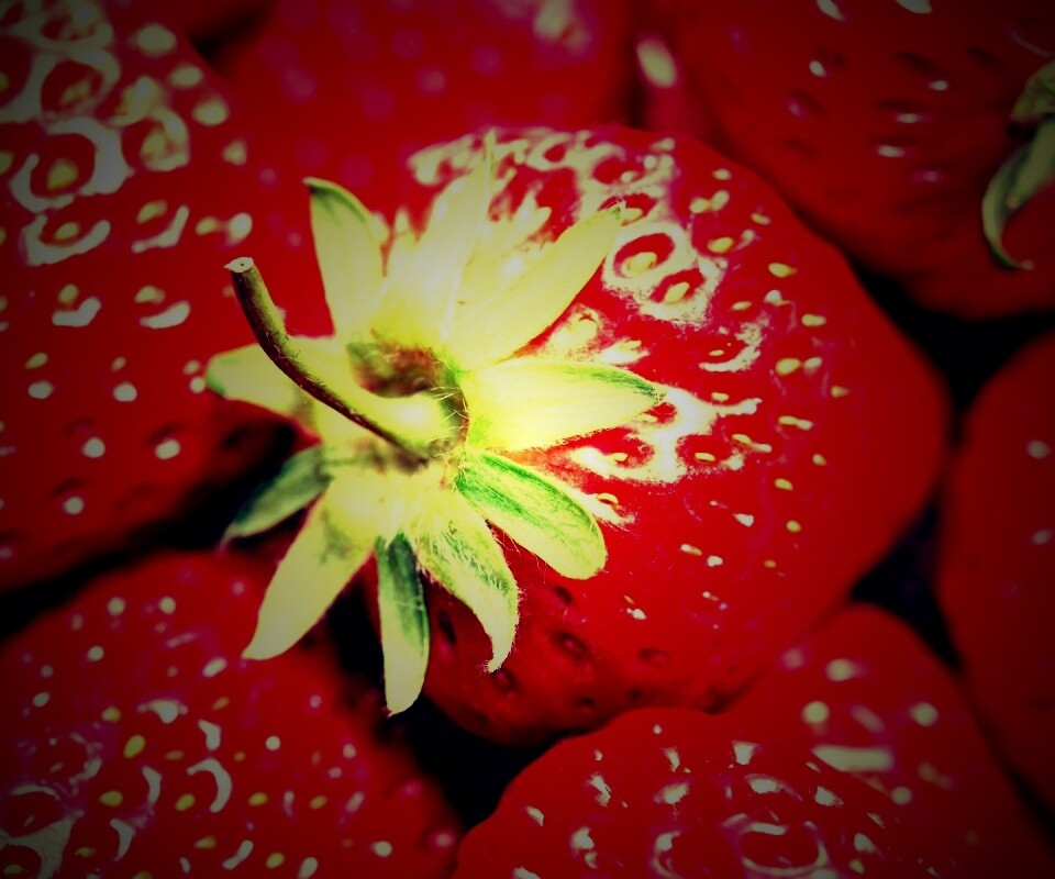 Сочная клубничка обои