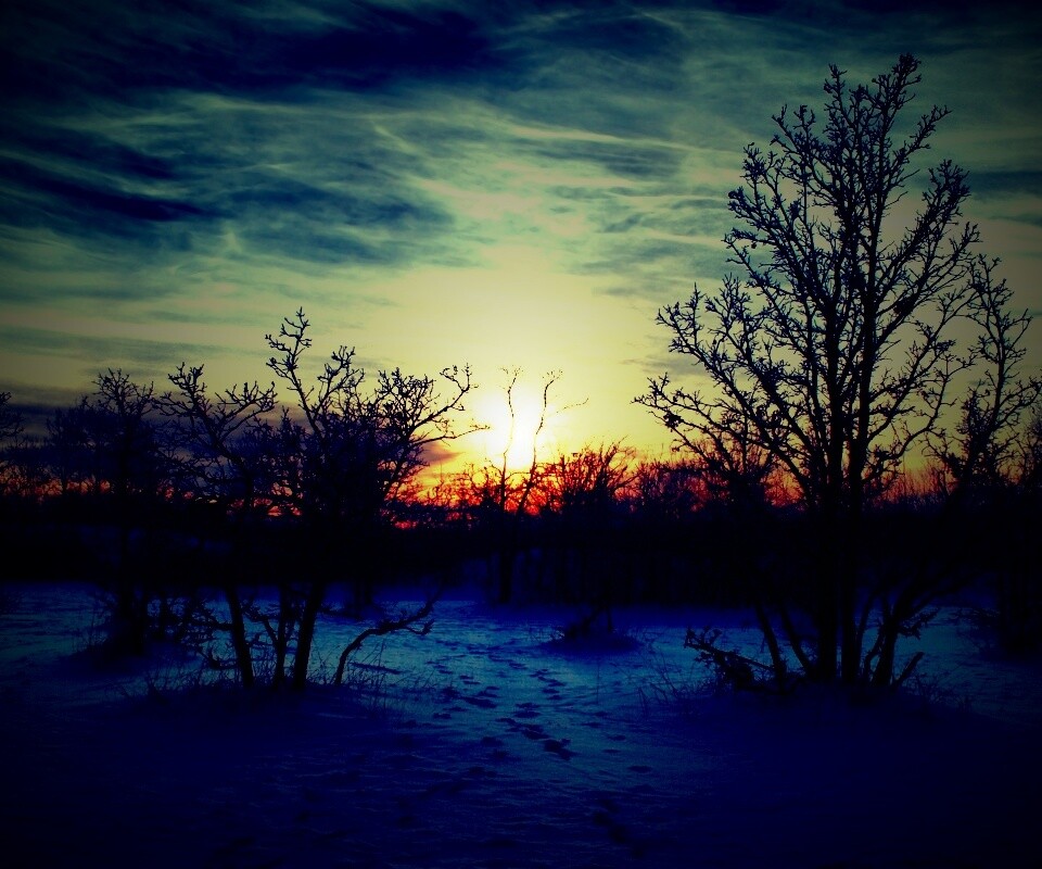 Закат в зимнем лесу обои