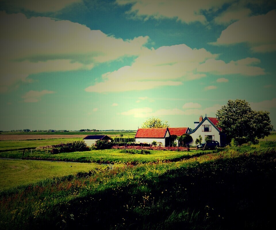 дом на лугу обои