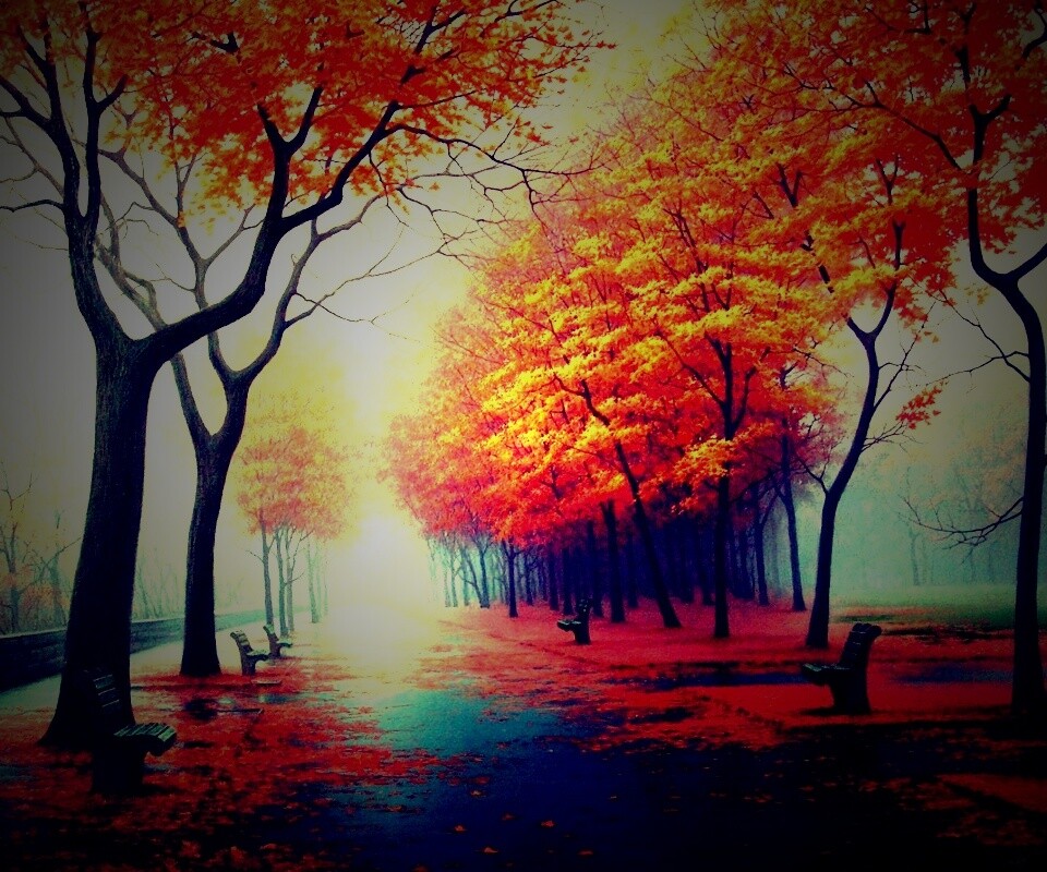 Дорога в осень обои