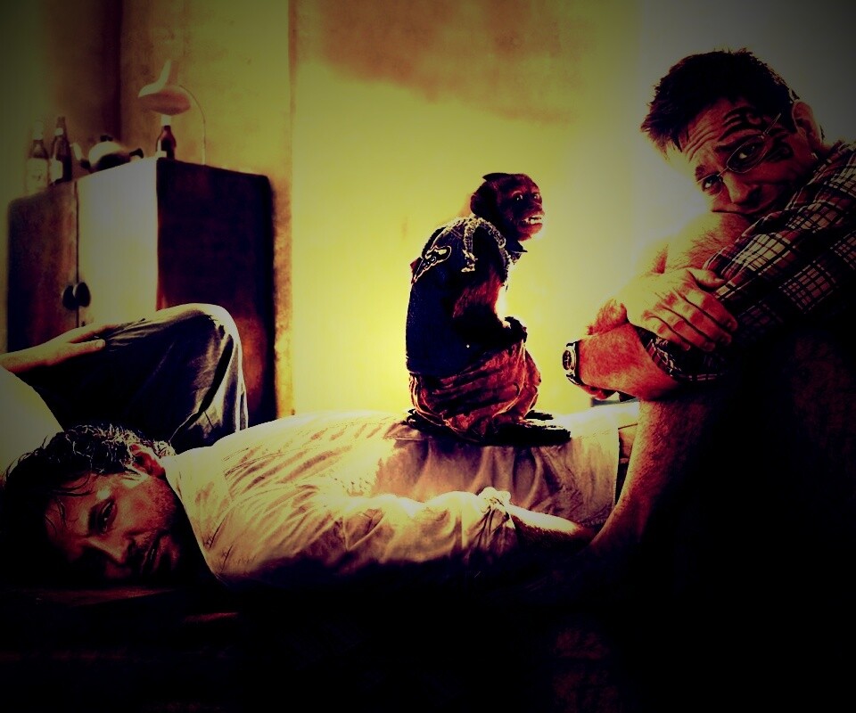 Мальчишник 2 из Вегаса в Банкок обои