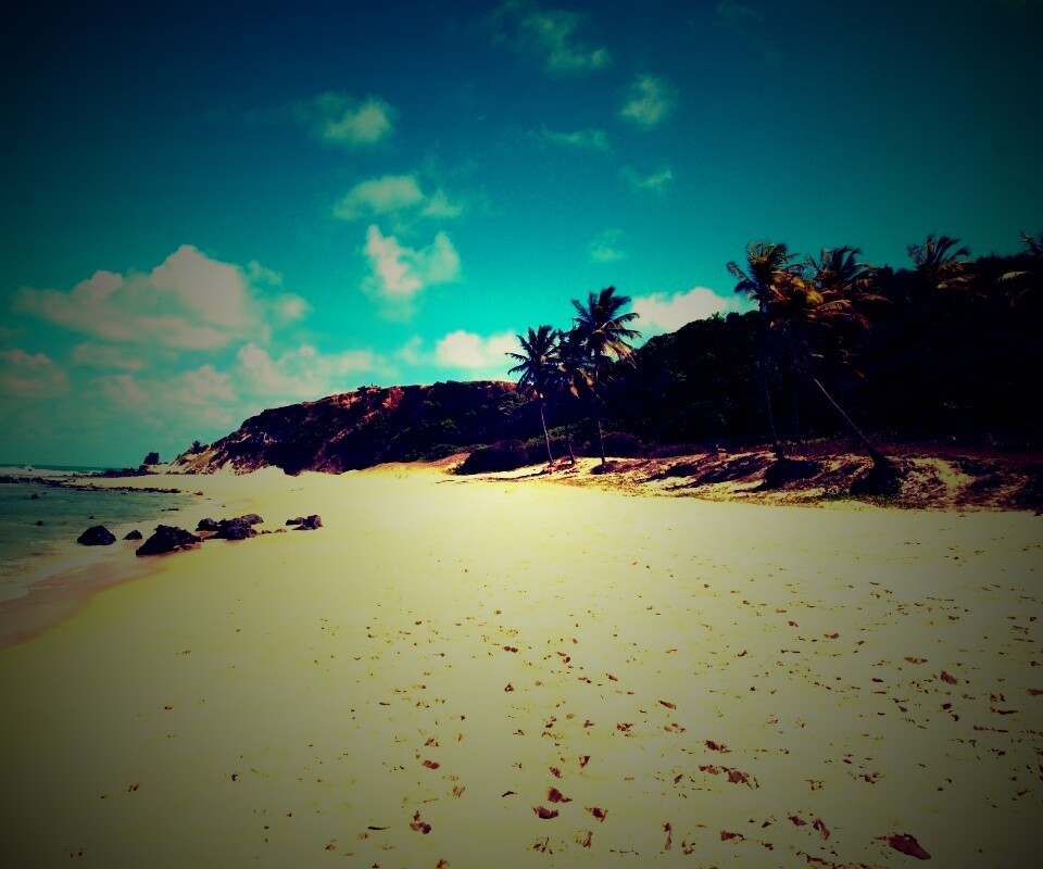 Туры в Бразилию в Лондрину обои