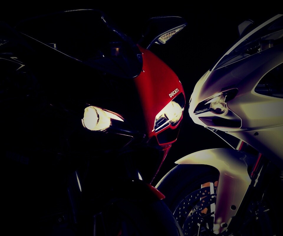 Красавцы  обои