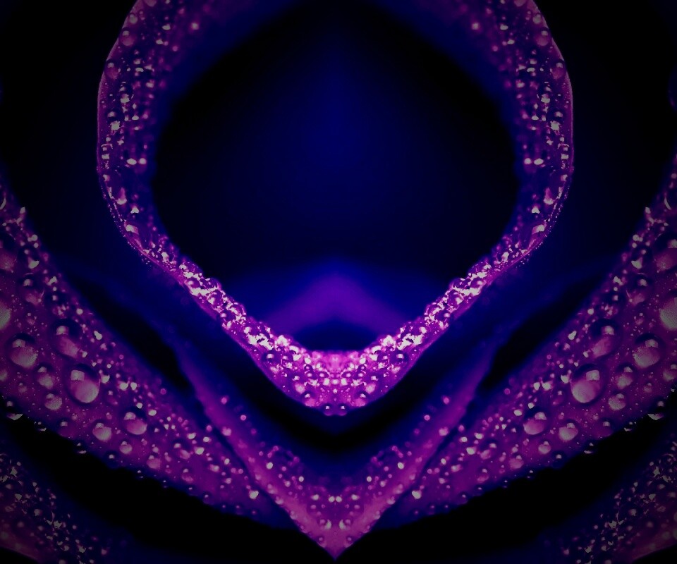 Цветочный зев обои