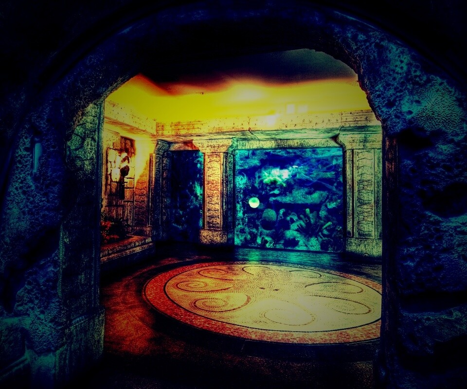 Аквариум обои