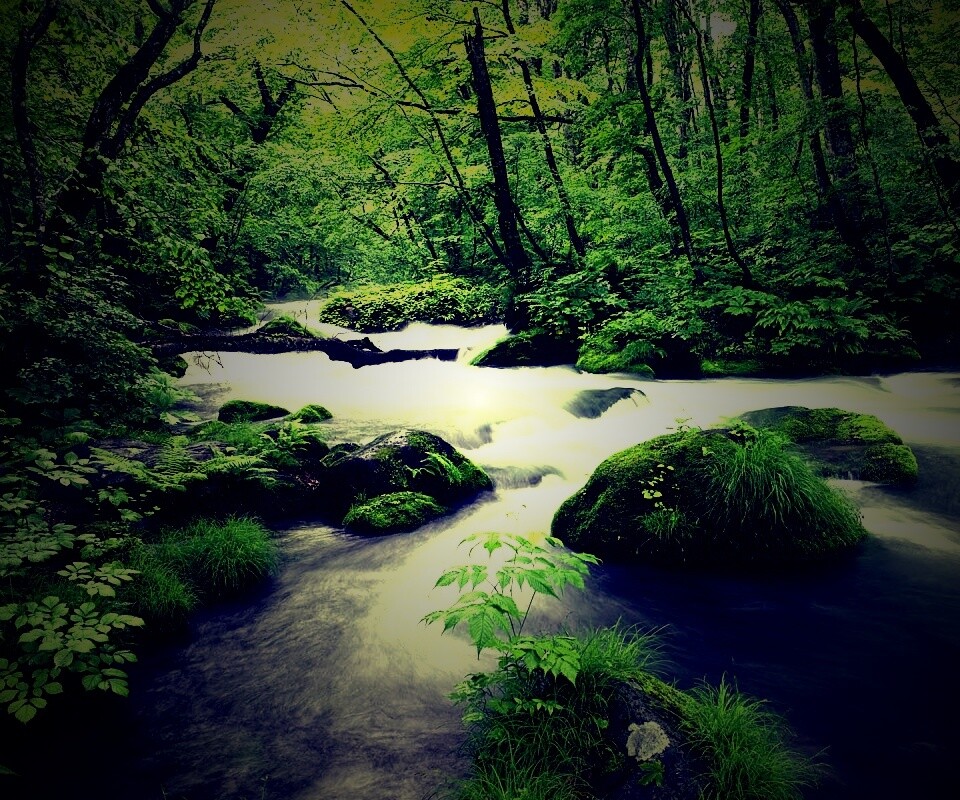 Лесная река обои