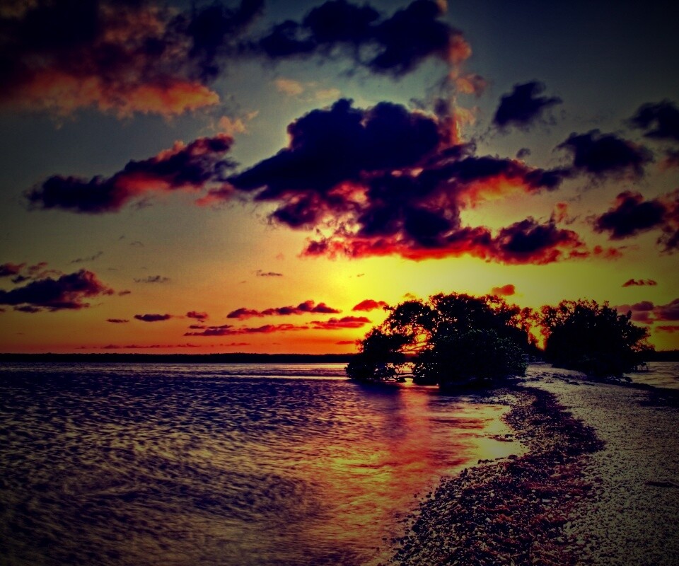 Побережье на закате обои