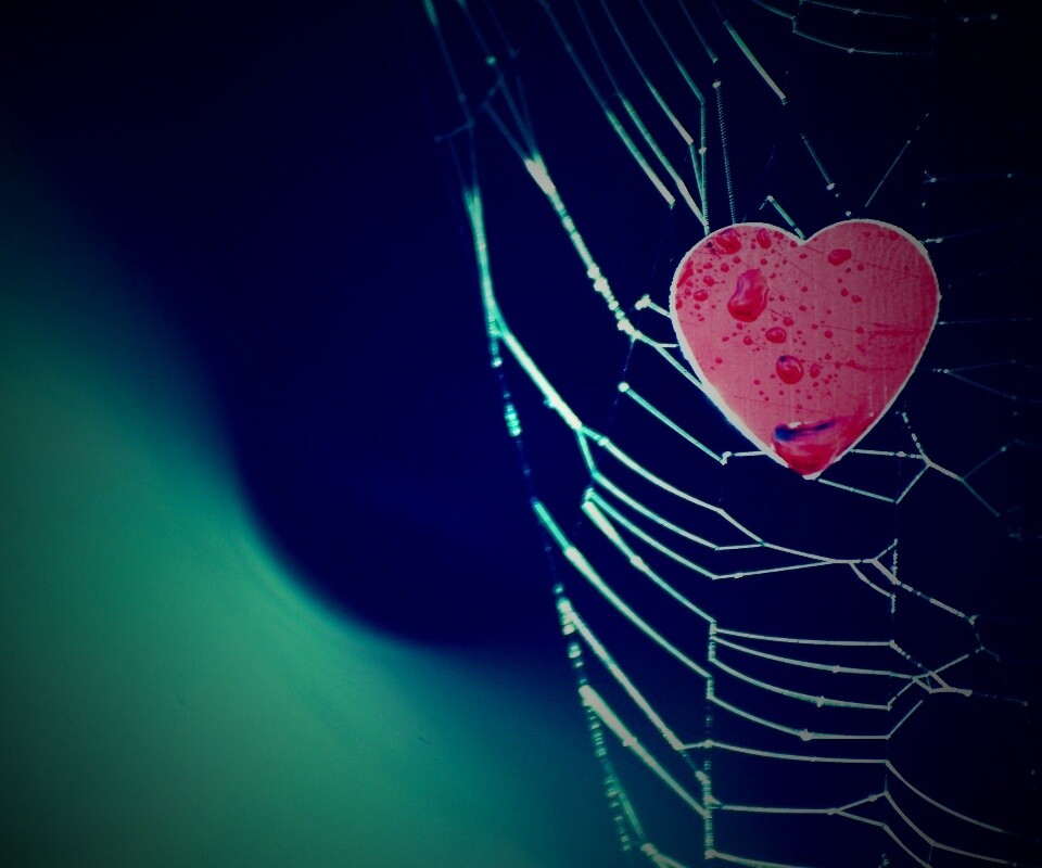 Сердце в паутине обои