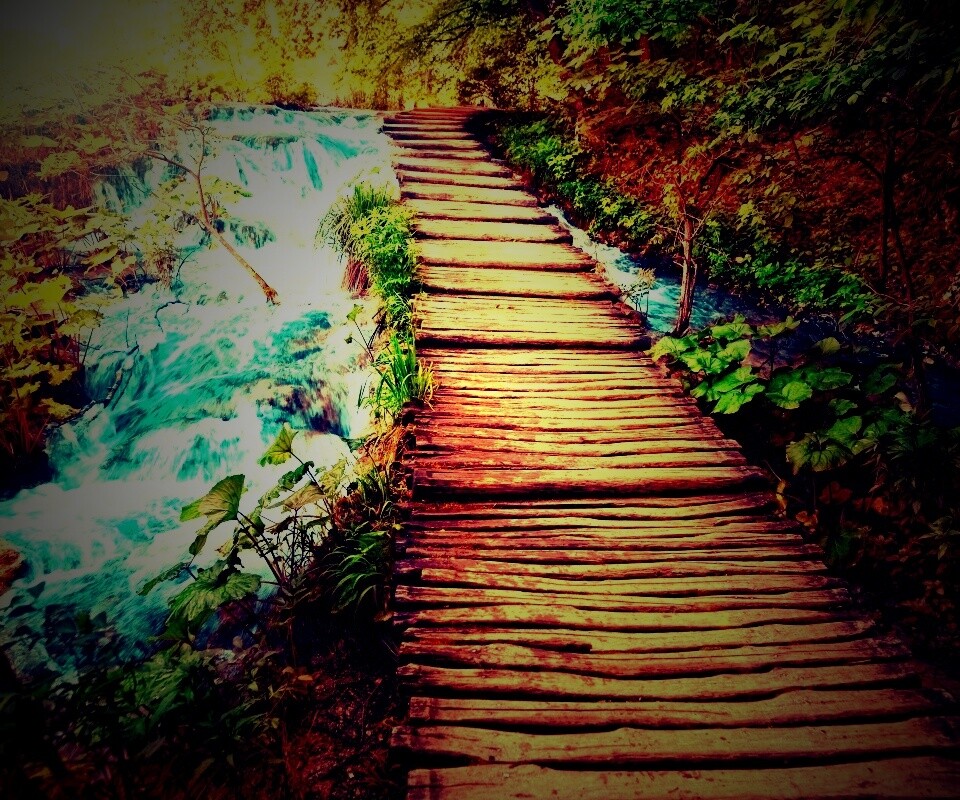 Деревянная дорожка над ручьем обои